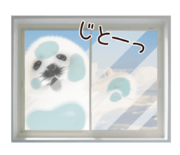 Realistic seal 2 sticker #7729102