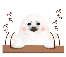 Realistic seal 2 sticker #7729105