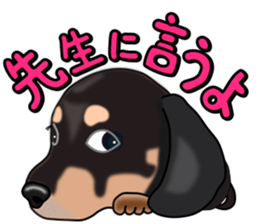 Dachs3 plus sticker #7729711