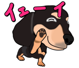 Dachs3 plus sticker #7729712