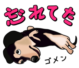 Dachs3 plus sticker #7729718