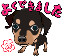 Dachs3 plus sticker #7729719