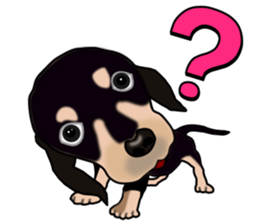 Dachs3 plus sticker #7729732