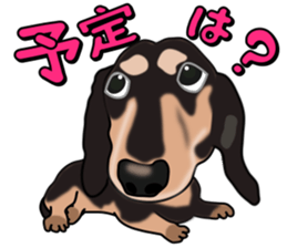 Dachs3 plus sticker #7729734