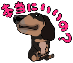 Dachs3 plus sticker #7729738