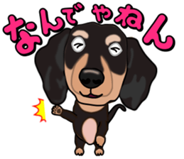 Dachs3 plus sticker #7729741