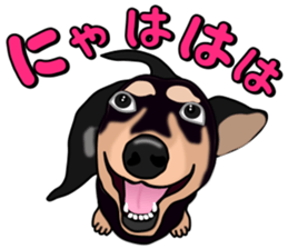 Dachs3 plus sticker #7729742