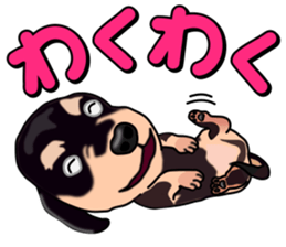 Dachs3 plus sticker #7729747