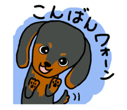 Pretty dachs sticker sticker #7729950