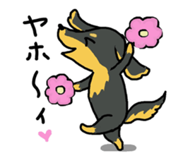 Pretty dachs sticker sticker #7729953