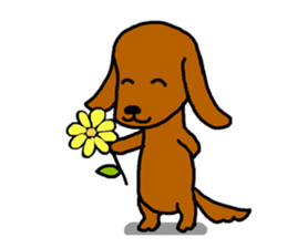 Pretty dachs sticker sticker #7729963