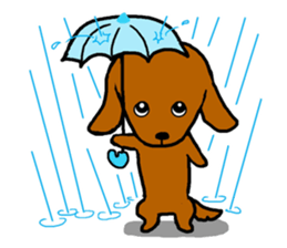 Pretty dachs sticker sticker #7729965