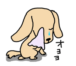 Pretty dachs sticker sticker #7729973