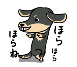 Pretty dachs sticker sticker #7729977