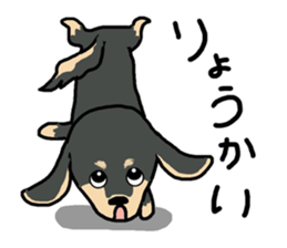 Pretty dachs sticker sticker #7729978