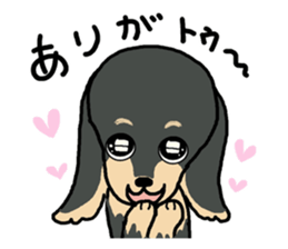 Pretty dachs sticker sticker #7729980