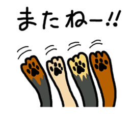 Pretty dachs sticker sticker #7729987