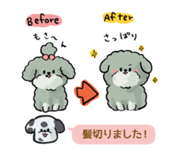 Dalmatian and Toy Poodle2 sticker #7729988