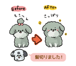 Dalmatian and Toy Poodle2 sticker #7729988
