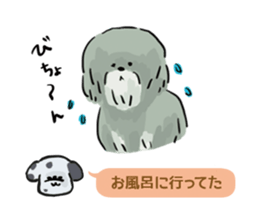 Dalmatian and Toy Poodle2 sticker #7730000