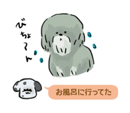 Dalmatian and Toy Poodle2 sticker #7730000