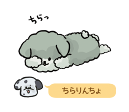 Dalmatian and Toy Poodle2 sticker #7730005