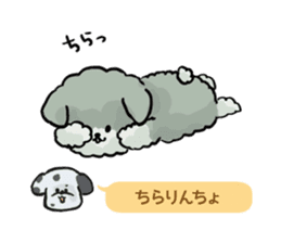 Dalmatian and Toy Poodle2 sticker #7730005