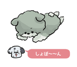 Dalmatian and Toy Poodle2 sticker #7730027