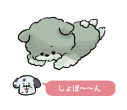 Dalmatian and Toy Poodle2 sticker #7730027
