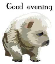 Chow chow of white and black E sticker #7730071