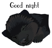 Chow chow of white and black E sticker #7730073