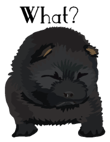 Chow chow of white and black E sticker #7730075