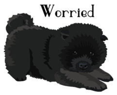 Chow chow of white and black E sticker #7730080