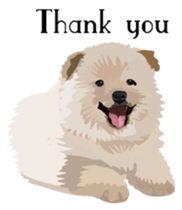 Chow chow of white and black E sticker #7730081
