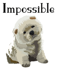 Chow chow of white and black E sticker #7730086