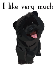 Chow chow of white and black E sticker #7730088