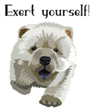 Chow chow of white and black E sticker #7730090
