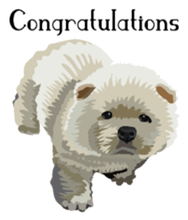 Chow chow of white and black E sticker #7730091