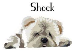 Chow chow of white and black E sticker #7730093