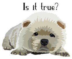 Chow chow of white and black E sticker #7730096