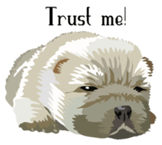 Chow chow of white and black E sticker #7730097