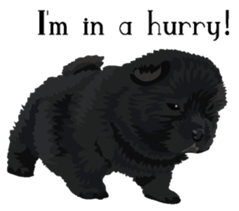 Chow chow of white and black E sticker #7730099