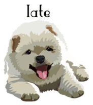 Chow chow of white and black E sticker #7730103
