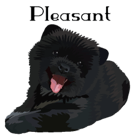 Chow chow of white and black E sticker #7730105