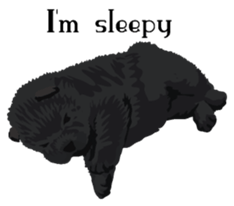 Chow chow of white and black E sticker #7730107