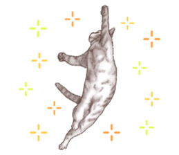 Strange pose cat 4 sticker #7731550