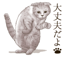 Strange pose cat 4 sticker #7731555