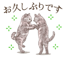 Strange pose cat 4 sticker #7731572