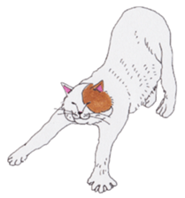 Free life of stay cats(new) sticker #7732028