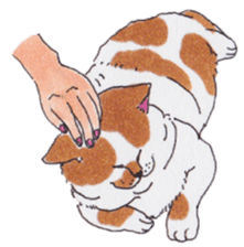 Free life of stay cats(new) sticker #7732030